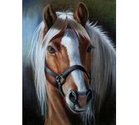Mosaïque diamant Norimpex - Cheval à crinière claire 1009934