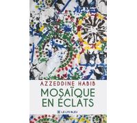 Mosaïque en éclats
