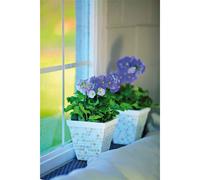 Mosaique Mariage Blanc 1 X 1 Cm