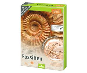Moses. Expedition Nature - Kit de fouilles de fossiles - Bloc de plâtre avec 5 fossiles Authentiques - Kit d'excavation avec Outil d'excavation, loupe et Sac de Rangement