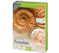 moses. Expedition Nature - Kit de fouilles de fossiles - Bloc de plâtre avec 5 fossiles Authentiques - Kit d'excavation avec Outil d'excavation, loupe et Sac de Rangement