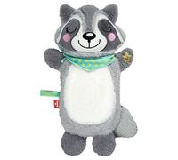 moses. Petite bouillotte avec housse de couette en forme de raton laveur, bouillotte douillette au design mignon de raton laveur, bouteille de lit amovible et lavable pour bébés et enfants