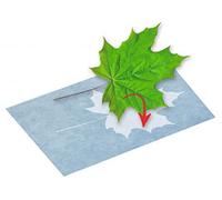 moses. PhänoMINT Papier à Impression Solaire, Jouet d'expérimentation pour Enfants, Papier de Bricolage pour Observer Les phénomènes scientifiques, 10 Feuilles de Papier 13,5 x 19 cm pour Imprimer