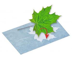 moses. PhänoMINT Papier à Impression Solaire, Jouet d'expérimentation pour Enfants, Papier de Bricolage pour Observer Les phénomènes scientifiques, 10 Feuilles de Papier 13,5 x 19 cm pour Imprimer