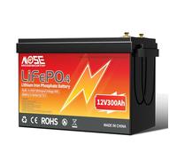 MOSEWORTH Batterie LiFePO4 au lithium fer phosphate, 12 V 300 Ah, BMS intégré