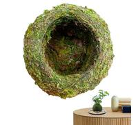 Moss Ball Flower Pot, Moss Ball Planter en forme d'oiseaux, support de vertes, conteneurs de de , conteneurs de succulentes pour la décoration du bod