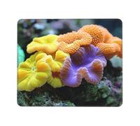 Moss on The Stone Tapis de souris multi-tailles pour bureau, étude et jeu - Tapis de souris avec forte adhérence et surface épaisse et confortable