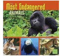 Most Endangered Animals in the World All About Animals by Tammy Gagne Tammy Gagne (Auteur)