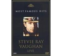 Most Famous Hits: Stevie Ray Vaughan Live G