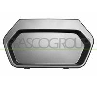 PRASCO AA0921245 Enjoliveur, pare-chocs