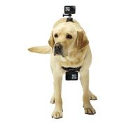 MoSundi Harnais réglable pour chien pour caméra de sport, gilet ABS souple avec fixation poitrine et dos, pour GoPro, 18 x 20 x 5 cm, noir
