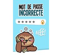 Mot de passe incorrecte: Carnet de mots de passe internet à remplir avec son répertoire alphabétique en français | Couverture Paresseux Humoristique | ... | Format petit & pratique | Idée Cadeaux