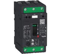 Schneider Electric GV4PE115N Relais de protection moteur 1 pc(s)
