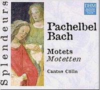 Cantus Cölln - Pachelbel / Bach - Motets (Coll. Splendeurs)