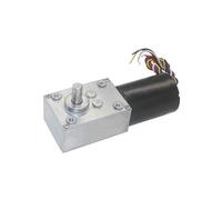 Moteur à engrenage à vis sans balais BLDC 5840 - 3650, 24V DC, haute puissance, grand couple, silencieux for Machine à rideaux(24V 40RPM)