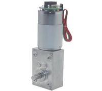 Moteur à engrenages à vis sans fin for Turbine, DC12V 24V 5840 - 555, CW CCW avec encodeur Codec 12 16 27 40 80 160 260 470 tr/min(24V Bracket Motor,160RPM)