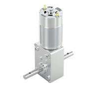 Moteur à engrenages miniatures à balais, 12V, 24V DC, vitesse réglable, double arbre, avant et arrière, autobloquant, 5840, 555(No Speed Controller,16 RPM,24V B Type)