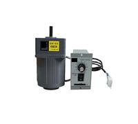 Moteur asynchrone 25W 110V AC, moteur à engrenages avec régulateur de vitesse 4IK25RGN-A, réglable, monophasé(0-7.5RPM)