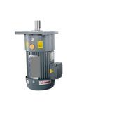 Moteur asynchrone CV18-100-3-250 triphasé 380V, Machine de régulation vitesse verticale 100W, monophasé(Reductionratio3-50(axes18))