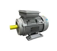 Moteur asynchrone d'alternateur monophasé 220 V, moteur électrique à coque en aluminium 2800 tr/min 1400 tr/min 3 kW 2 kW 5 kW 220 V(1400RPM,550W)