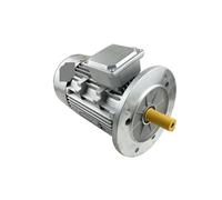 Moteur asynchrone moteur Vertical B5 TC5622 monophasé 220v 50hz 0,12kw 1320 tr/min