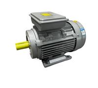 Moteur asynchrone triphasé 5KW 2KW 3KW 220V monophasé 380V 50Hz 2800 tr/min moteur électrique à courant alternatif de coque en aluminium(380V 3Phase Motor,5KW)