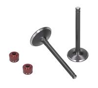 Moteur Automobile, Joints de Vapeur de Soupape D'échappement D'admission de Tête de Moteur -culasse Remplacement Ajustement pour YINXIANG YX 140cc Moteur PIT PRO PIT Vélo Piste Dirt Bike Thumpst