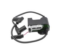 Moteur Bobine D'allumage Bobine D'allumage Pour Ski-Doo Scandic SWT WT 500, Pour Tundra, Pour Expedition MX Z TNT, Pour Grand-Touring GSX Sport 550F Performance Bobine D'allumage