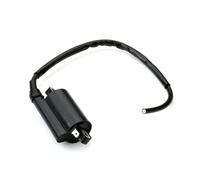 Moteur Bobine D'allumage Pour Hyosung GT Comet R 250 GV Aquila MS3 E3 250cc TE Rapier ATV 450 Bobine D'allumage Moto Performance Bobine D'allumage