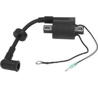 Moteur de bateau Bobine d'allumage 6e0 85570 00 Moteur hors-bord pour 2 temps 3 CV 4 CV 5 CV
