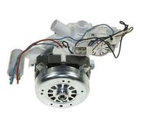 Moteur De Lavage Alterne Pour Lave Vaisselle Ariston - C00115902 G