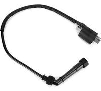 Moteur de moto - Bobine d'allumage pour Yamaha Rhino 660 2004 - 2007 fit
