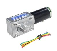 Moteur de Vibration à encodeur Hall 5840-31ZY, engrenage à vis sans fin et couple élevé, engrenage métallique DC 12V/24V, équipement d'automatisation CW/CCW(12V,160rpm)