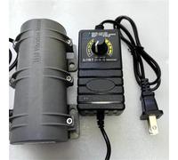 Moteur de vibration R3650 DC 12 V/24 V, petit système d'alarme de régulation de vitesse, for table de massage, chaise, équipement, 1 pièce(EU,12V)