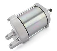 Moteur Démarreur Électrique Moto Démarreur pour Gamax pour AX250 pour AX300 pour E-Ton pour Vector 250 300 pour SYM pour Quad pour Lander 250 300 pour 300SL 300S pour Can-am Moto Moteur De Démarreur