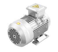 Moteur électrique 1,1 kW 1405 tr/min - Diamètre de la tige 19 mm - Moteur triphasé avec bobine en cuivre pur - Pour ventilateurs, pompes, compresseurs