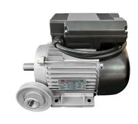 Moteur électrique 3CV/230V avec poulie - DOMAC