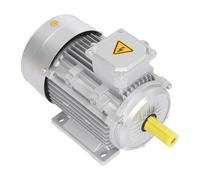 Moteur électrique asynchrone à courant triphasé 4 kW 2895 tr/min 230/400 V Moteur triphasé B3 Diamètre de l'arbre 28 mm Moteur industriel pour machines industrielles minières 37,7 x 20 x 25,7 cm