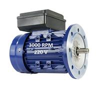 Moteur électrique monophasé 2,2 kW / 3 CV 220 V 3000 tr/min B5 (200 mm) taille 90 L - axe 24 mm haut couple de démarrage Alren