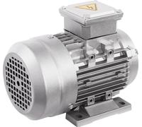 Moteur électrique, puissance 0,75 kW, vitesse 1400 tr/min, argent