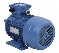 Moteur Electrique Triphasé Aluminium 2,2kW/3 CH 2840 tr/min Compresseur vidaXL