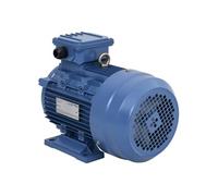 Moteur électrique triphasé Aluminium 3kW 4 CH 2840 tr min Bleu G