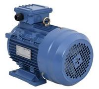 Moteur électrique triphasé Aluminium 3kW/4 CH 2840 tr/min