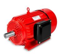 Moteur Électrique Triphasé - EBERTH - WP1-EM5500 - 5,5 kW - 2900 tr/min - Aluminium