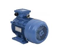vidaXL Moteur électrique triphasé 148006 – 4 kW/5,5 ch aluminium 2840 tr/min 2 pôles