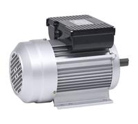 Moteur Monophasé Aluminium 2,2kW/3 CH 2 Pôles 2800 tr/min Electrique vidaXL