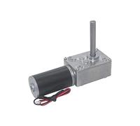 Moteur, Moteur de Rideau 5840-31zy, DC12V 24V, réduction de boîte de Vitesses à vis sans Fin à Couple élevé, Arbre Long de Type D inversé (Vitesse (RPM): 16 TR/Min, Tension (V): DC 24V) (Color : DC 1
