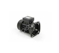 Moteur pour pompes ultraflow, whisperflow et superflo 0,75 cv tri -