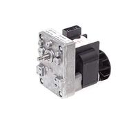 Moteur Pour Tournebroche Motoréducteur Électrique de 30 Kg