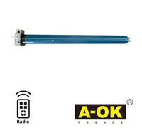 Moteur radio Aok AM60 100/12 ME avec secours